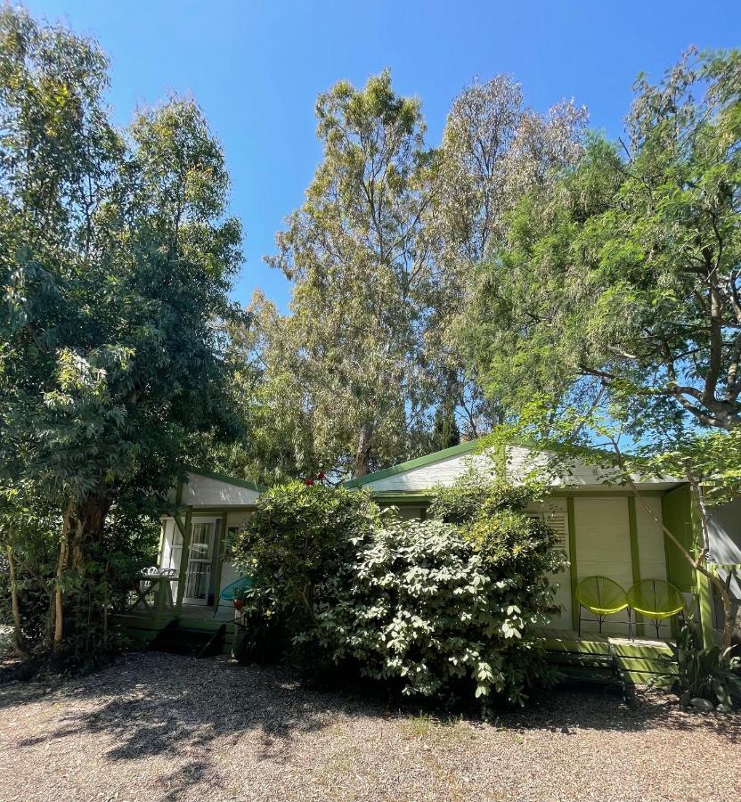 Camping La Cle Des Champs Calvi  Exterior foto