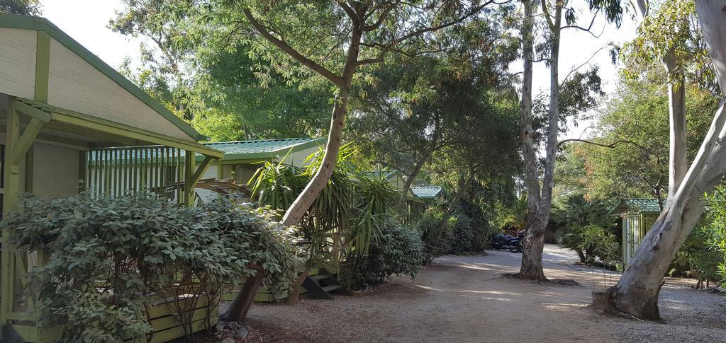 Camping La Cle Des Champs Calvi  Exterior foto