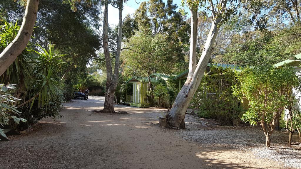 Camping La Cle Des Champs Calvi  Exterior foto