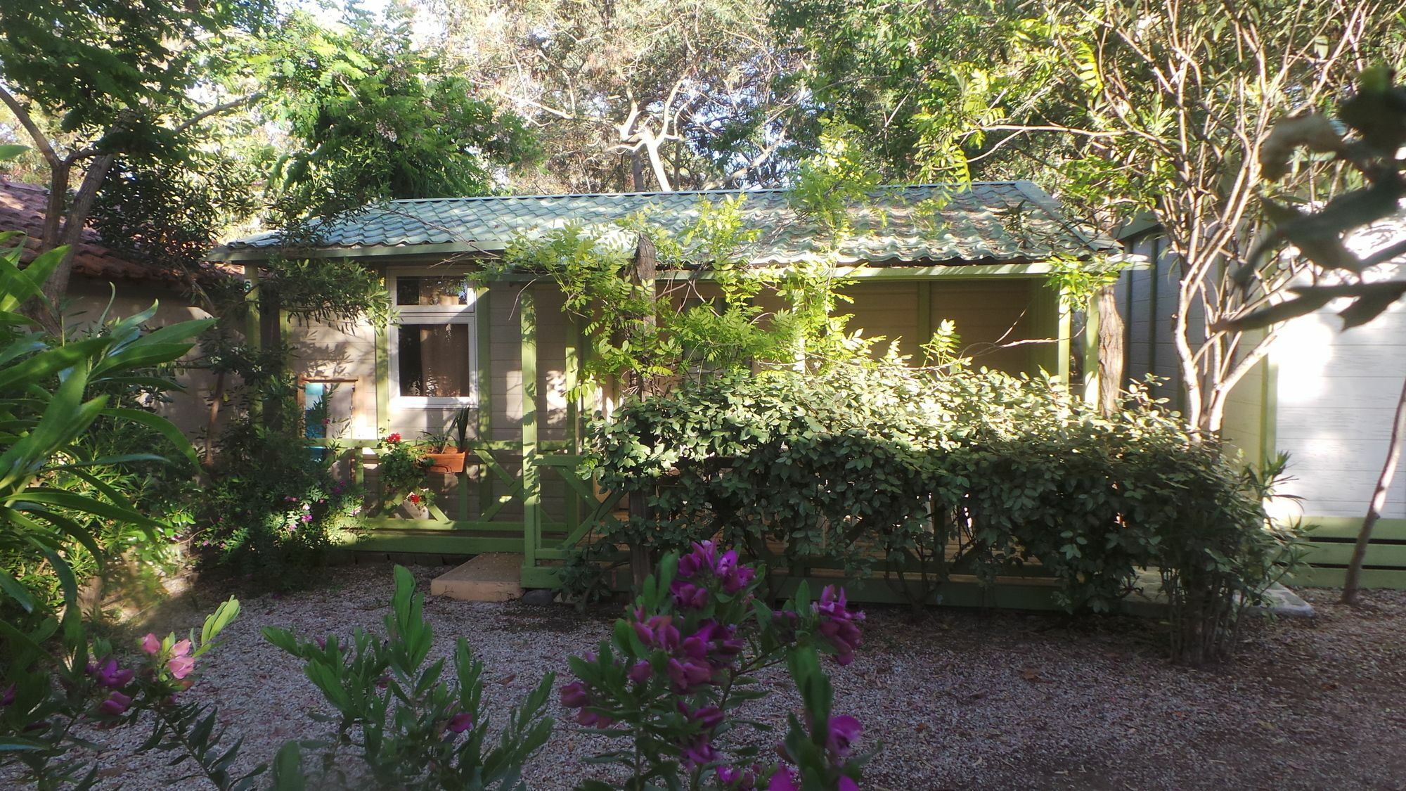 Camping La Cle Des Champs Calvi  Exterior foto