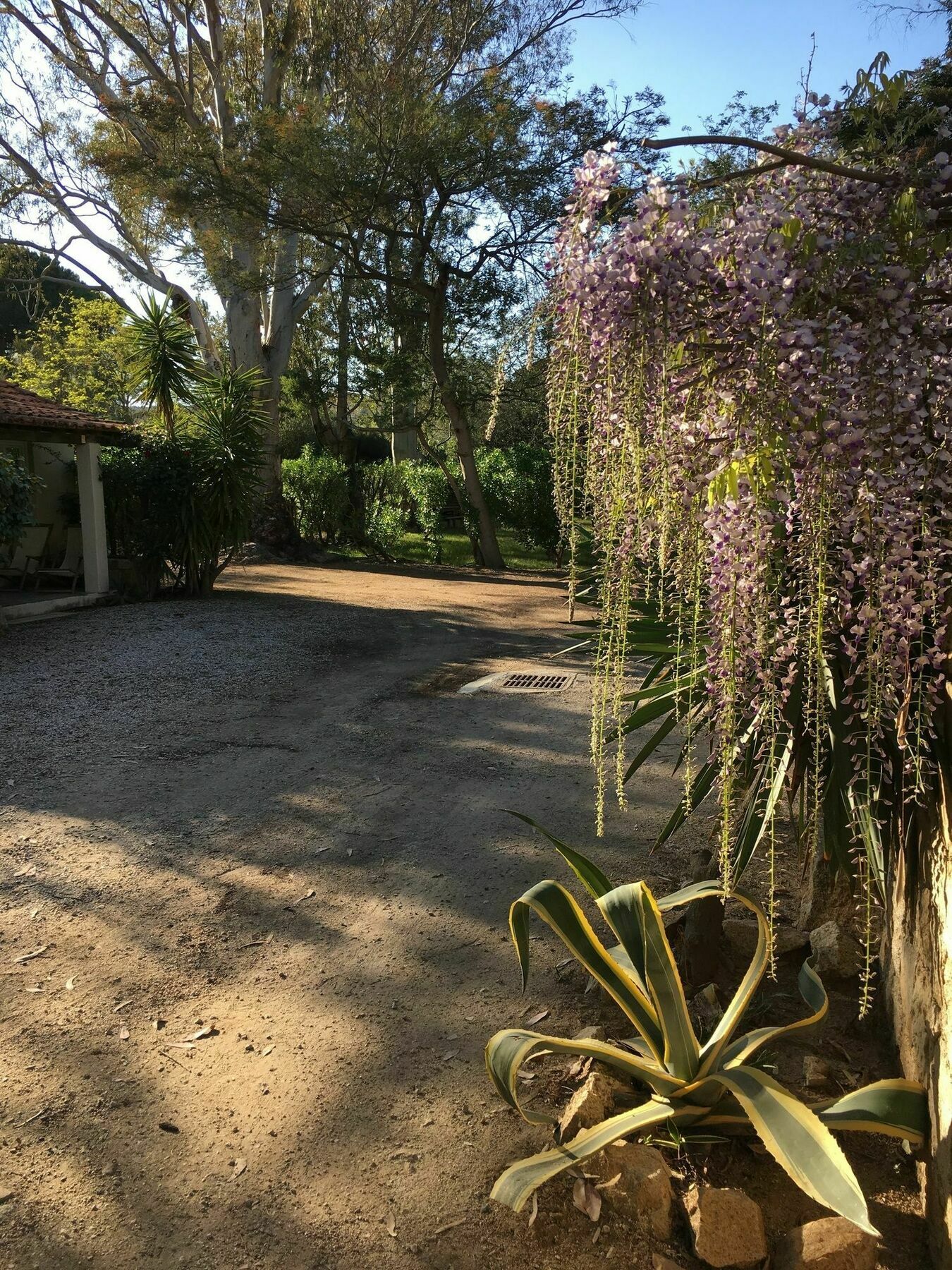 Camping La Cle Des Champs Calvi  Exterior foto